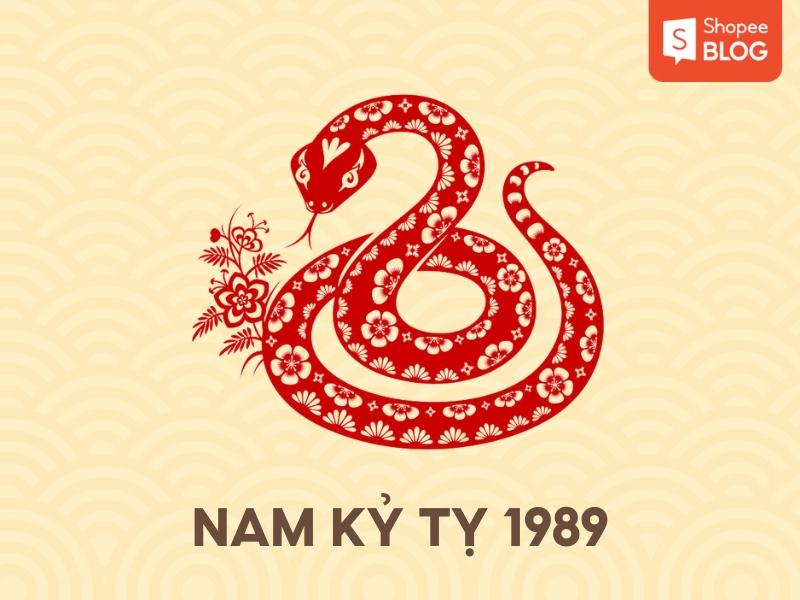 Tử Vi Kỷ Tỵ 2024 Nam Mạng